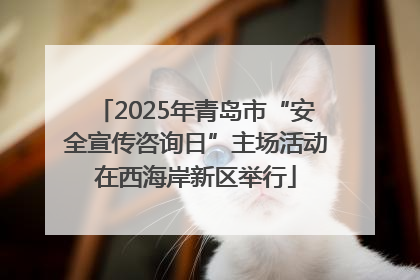 2025年青岛市“安全宣传咨询日”主场活动在西海岸新区举行