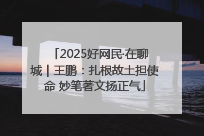 2025好网民·在聊城｜王鹏：扎根故土担使命 妙笔著文扬正气