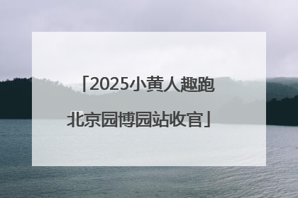 2025小黄人趣跑北京园博园站收官