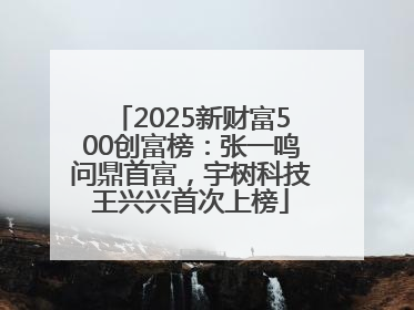 2025新财富500创富榜：张一鸣问鼎首富，宇树科技王兴兴首次上榜