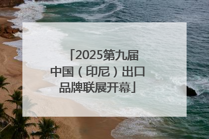 2025第九届中国（印尼）出口品牌联展开幕