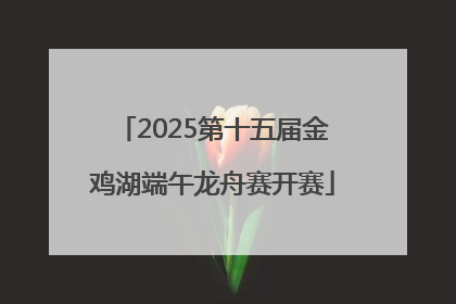 2025第十五届金鸡湖端午龙舟赛开赛