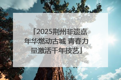 2025荆州非遗嘉年华燃动古城 青春力量激活千年技艺