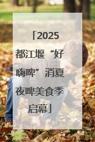 2025都江堰“好嗨啤”消夏夜啤美食季启幕