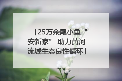 25万余尾小鱼“安新家” 助力黄河流域生态良性循环