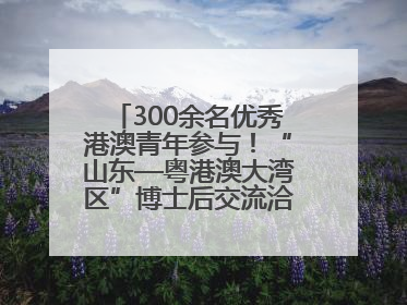 300余名优秀港澳青年参与！“山东—粤港澳大湾区”博士后交流洽谈活动成功举办