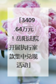 3409.64万元！岳阳法院开展执行案款集中兑现活动