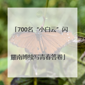 700名“小白云”闪耀南博续写青春答卷