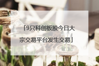 9只科创板股今日大宗交易平台发生交易