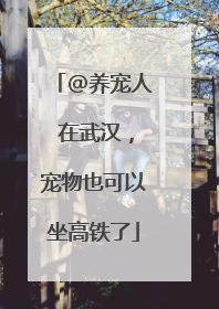 @养宠人 在武汉，宠物也可以坐高铁了