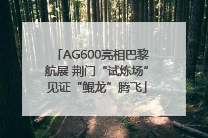 AG600亮相巴黎航展 荆门“试炼场”见证“鲲龙”腾飞