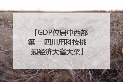 GDP位居中西部第一 四川用科技挑起经济大省大梁