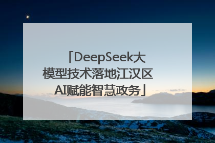 DeepSeek大模型技术落地江汉区 AI赋能智慧政务