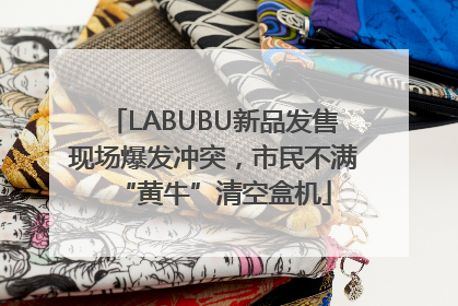 LABUBU新品发售现场爆发冲突，市民不满“黄牛”清空盒机